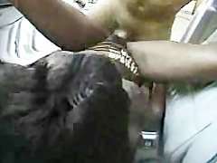 Ebony Limousine (15)